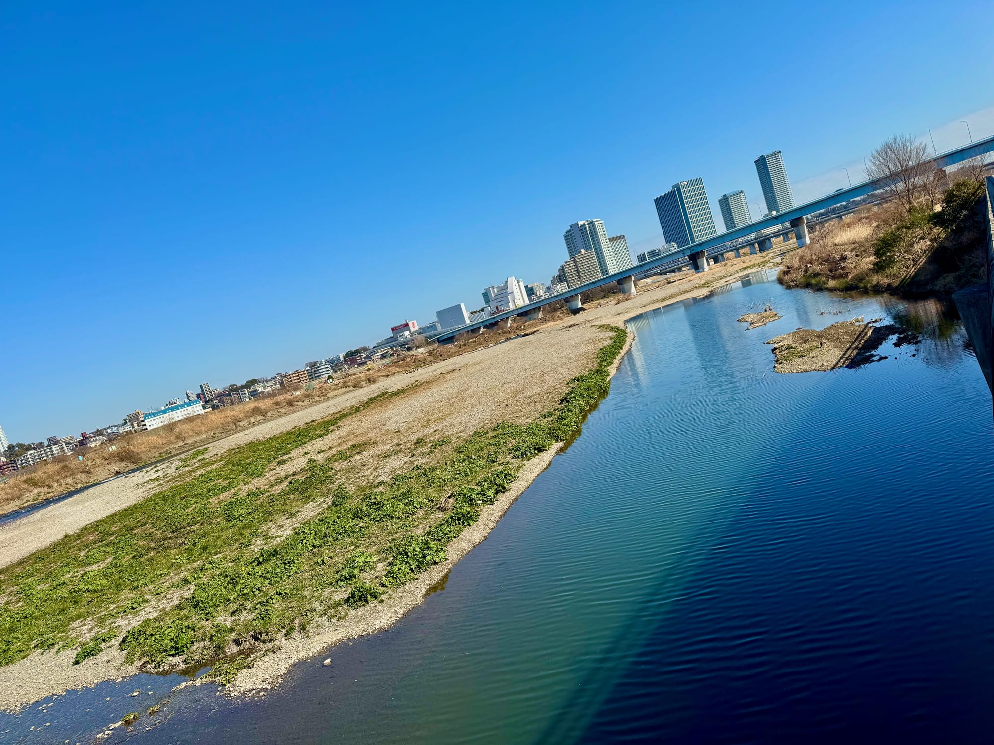 the futako-tamagawa skyline