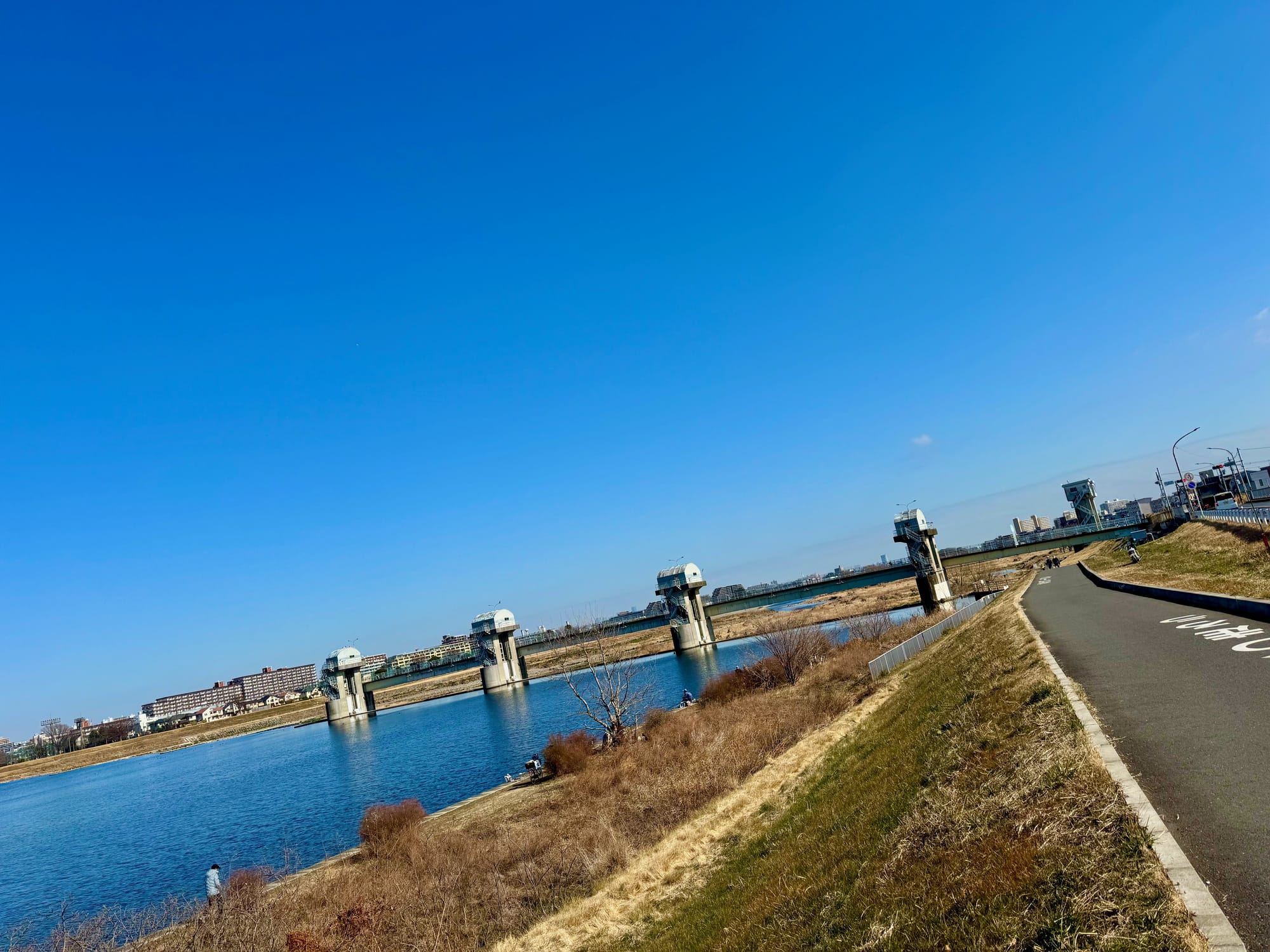 mini dam along the tama river